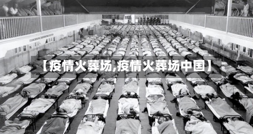 【疫情火葬场,疫情火葬场中国】-第3张图片