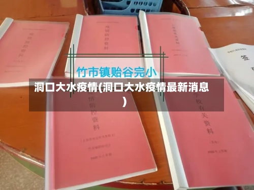 洞口大水疫情(洞口大水疫情最新消息)-第1张图片