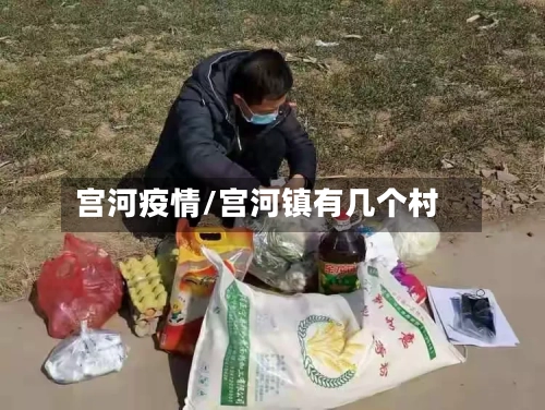 宫河疫情/宫河镇有几个村-第1张图片