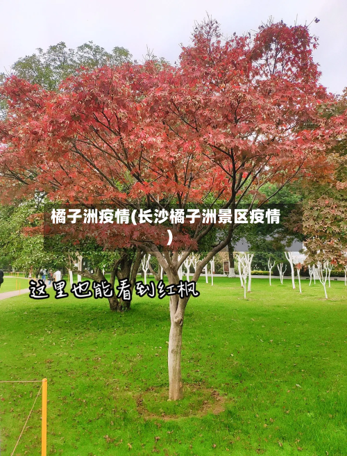 橘子洲疫情(长沙橘子洲景区疫情)-第1张图片