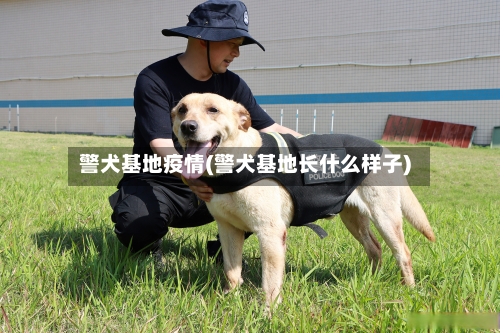 警犬基地疫情(警犬基地长什么样子)-第3张图片