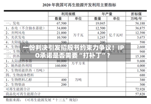 一份判决引发招股书约束力争议！IPO承诺是否需要“打补丁”？-第1张图片