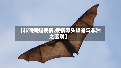 【非洲蝙蝠疫情,疫情源头蝙蝠与非洲之区别】-第3张图片