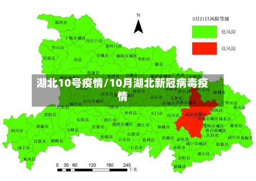 湖北10号疫情/10月湖北新冠病毒疫情-第3张图片