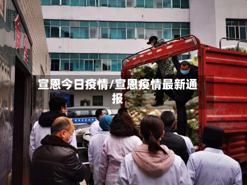 宣恩今日疫情/宣恩疫情最新通报-第3张图片