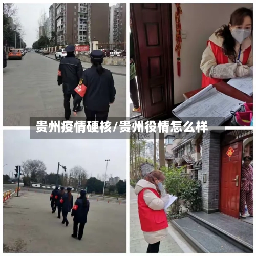 贵州疫情硬核/贵州役情怎么样-第3张图片