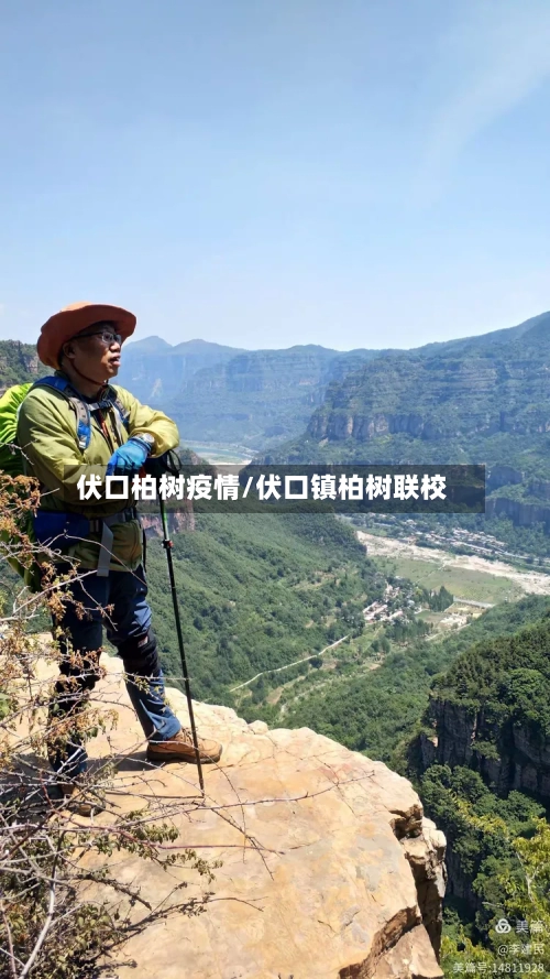 伏口柏树疫情/伏口镇柏树联校-第2张图片