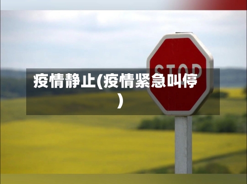 疫情静止(疫情紧急叫停)-第2张图片