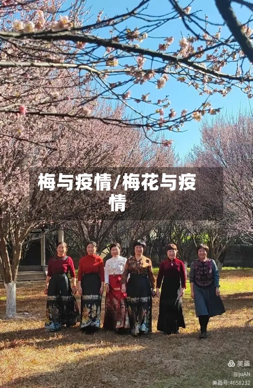 梅与疫情/梅花与疫情-第1张图片