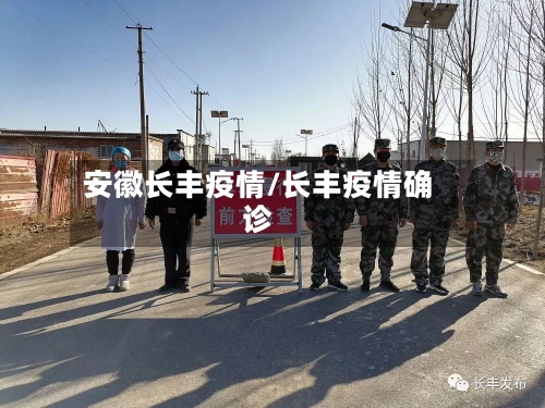 安徽长丰疫情/长丰疫情确诊-第2张图片