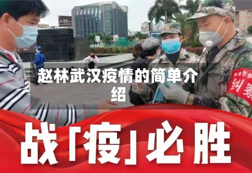 赵林武汉疫情的简单介绍-第1张图片