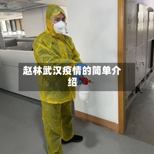 赵林武汉疫情的简单介绍-第2张图片