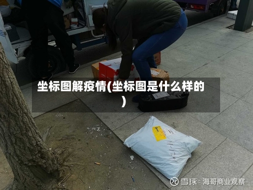 坐标图解疫情(坐标图是什么样的)-第3张图片