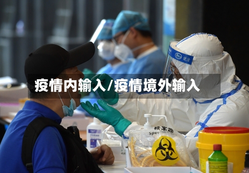 疫情内输入/疫情境外输入-第1张图片