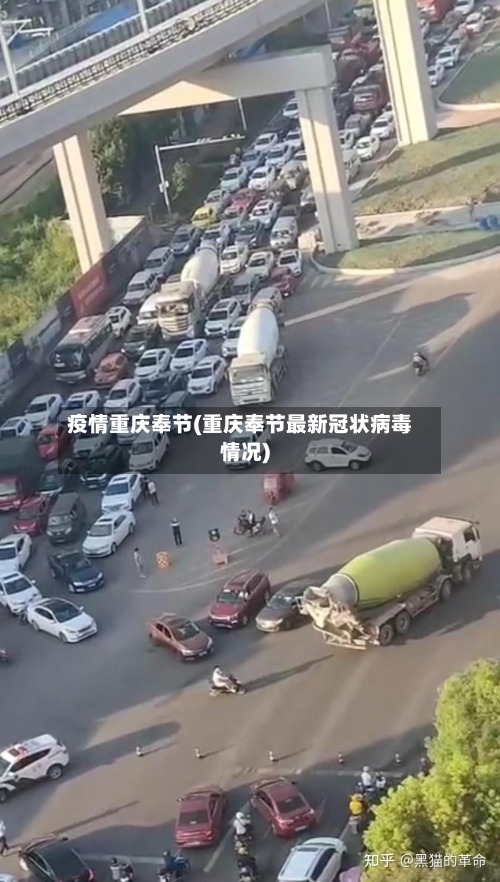 疫情重庆奉节(重庆奉节最新冠状病毒情况)-第1张图片