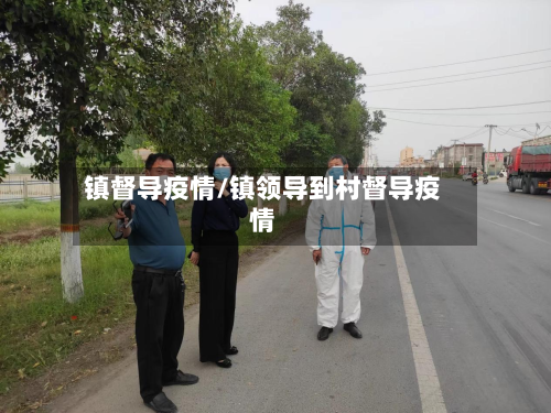 镇督导疫情/镇领导到村督导疫情-第1张图片