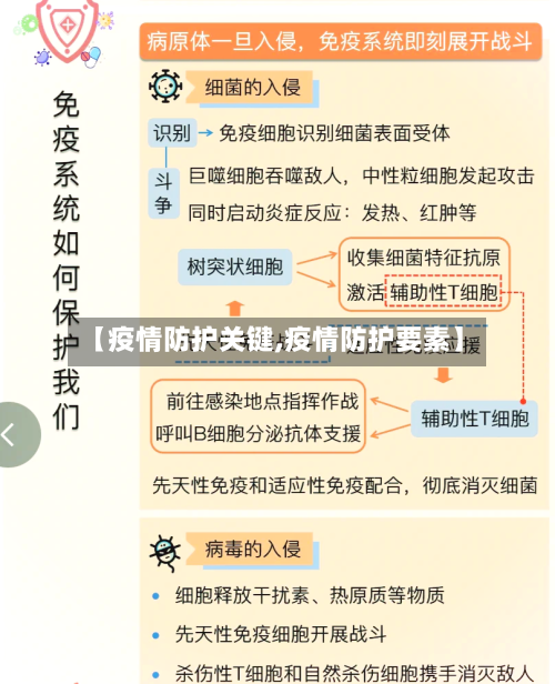 【疫情防护关键,疫情防护要素】-第1张图片