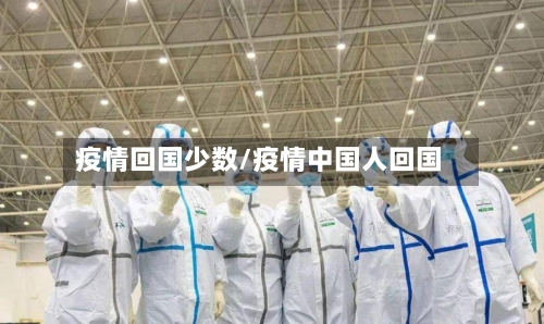 疫情回国少数/疫情中国人回国-第1张图片
