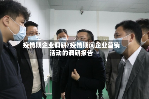 疫情期企业调研/疫情期间企业营销活动的调研报告-第2张图片