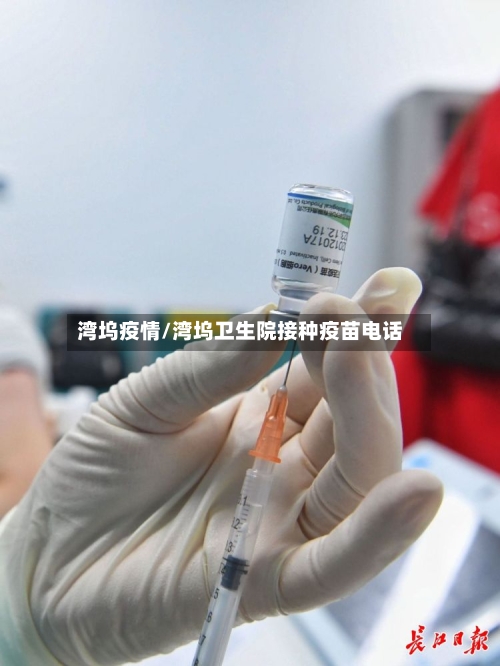 湾坞疫情/湾坞卫生院接种疫苗电话-第2张图片