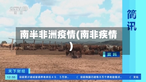 南半非洲疫情(南非疾情)-第3张图片