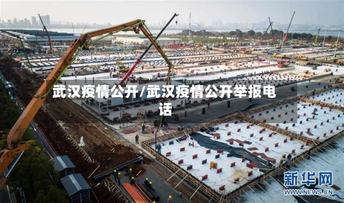 武汉疫情公开/武汉疫情公开举报电话-第1张图片